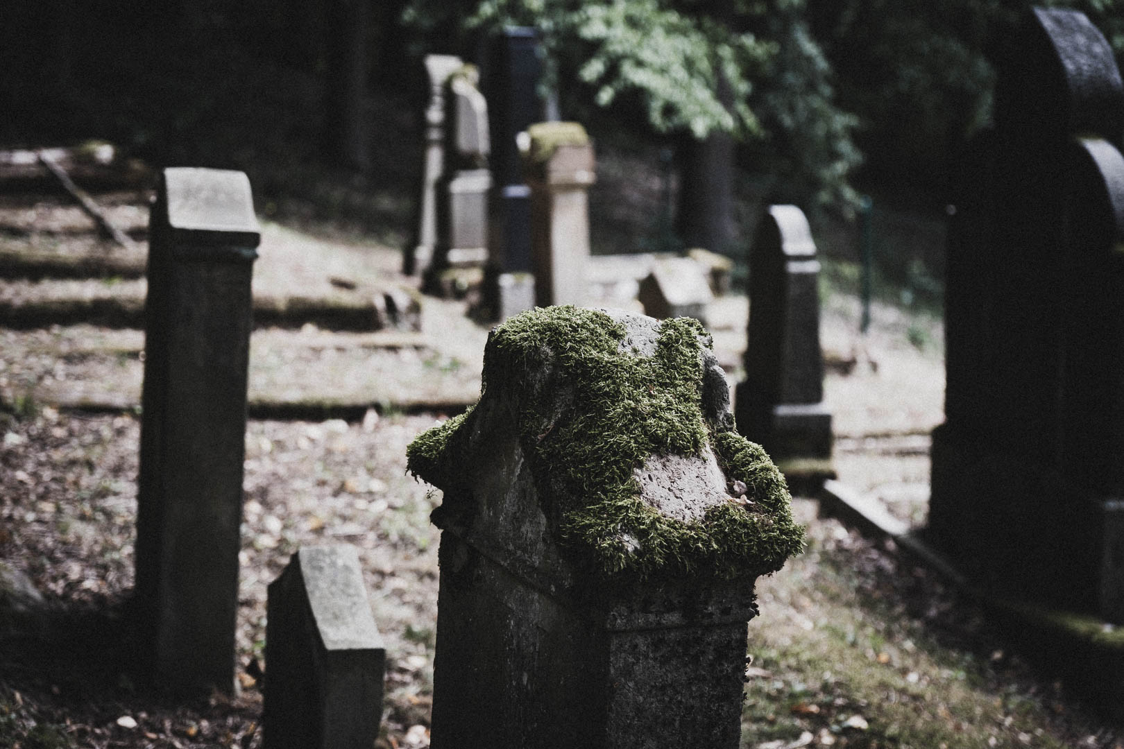 Nesselröden, Jüdischer Friedhof Nesselröden